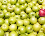 How to Compare insurance rates?