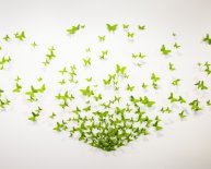 Progressive Insurance Cleveland oh